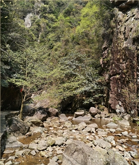 浙西11.png 浙西11.png