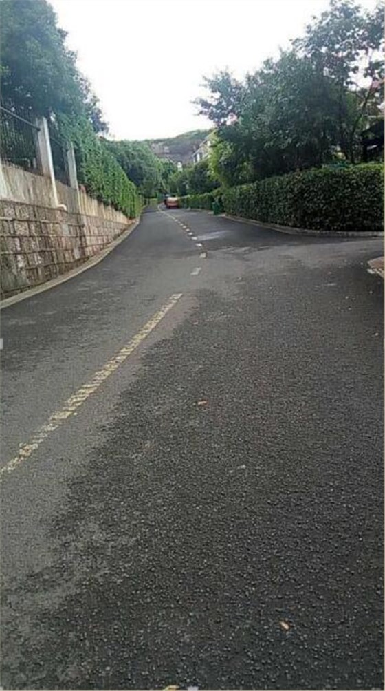 圣倍諾電動掃地機別墅區(qū)應(yīng)用