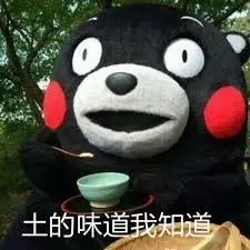 電動掃地機在農(nóng)村環(huán)衛(wèi)的重要性